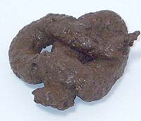 poop.jpg
